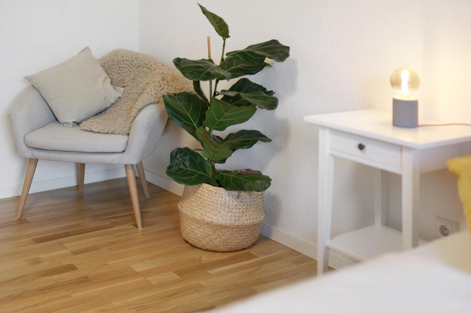 Ferienwohnung Obsthof Fiess Oberkirch  Eksteriør billede